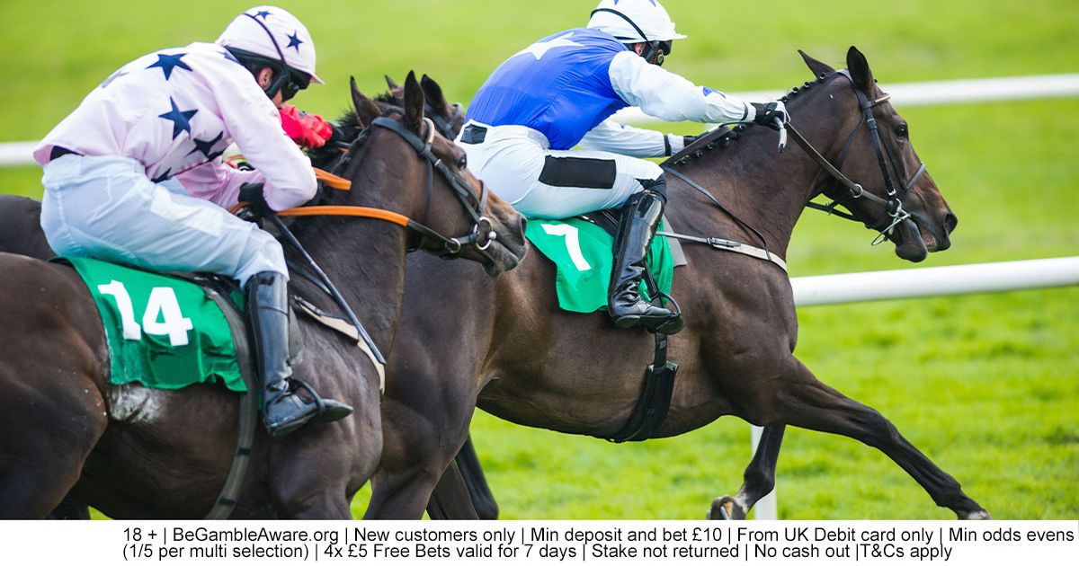 Horse racing bets trifecta